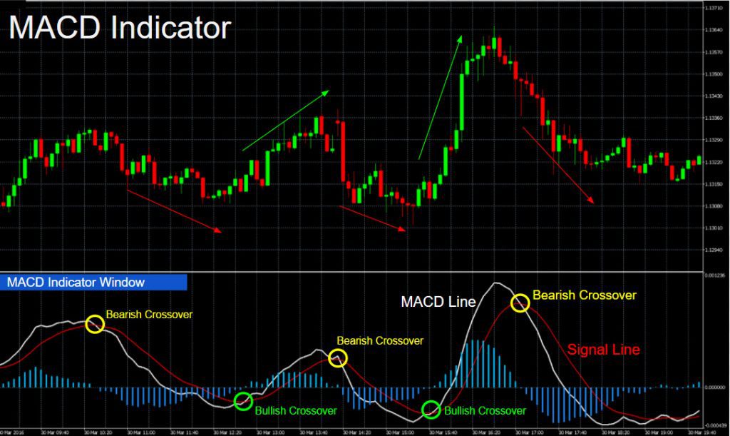 MACD indicator and MACD window on Forex chart